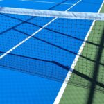 Novak Djokovic loss